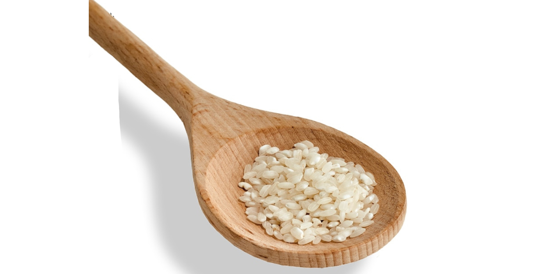 SEMANA GASTRONÓMICA DE LOS ARROCES